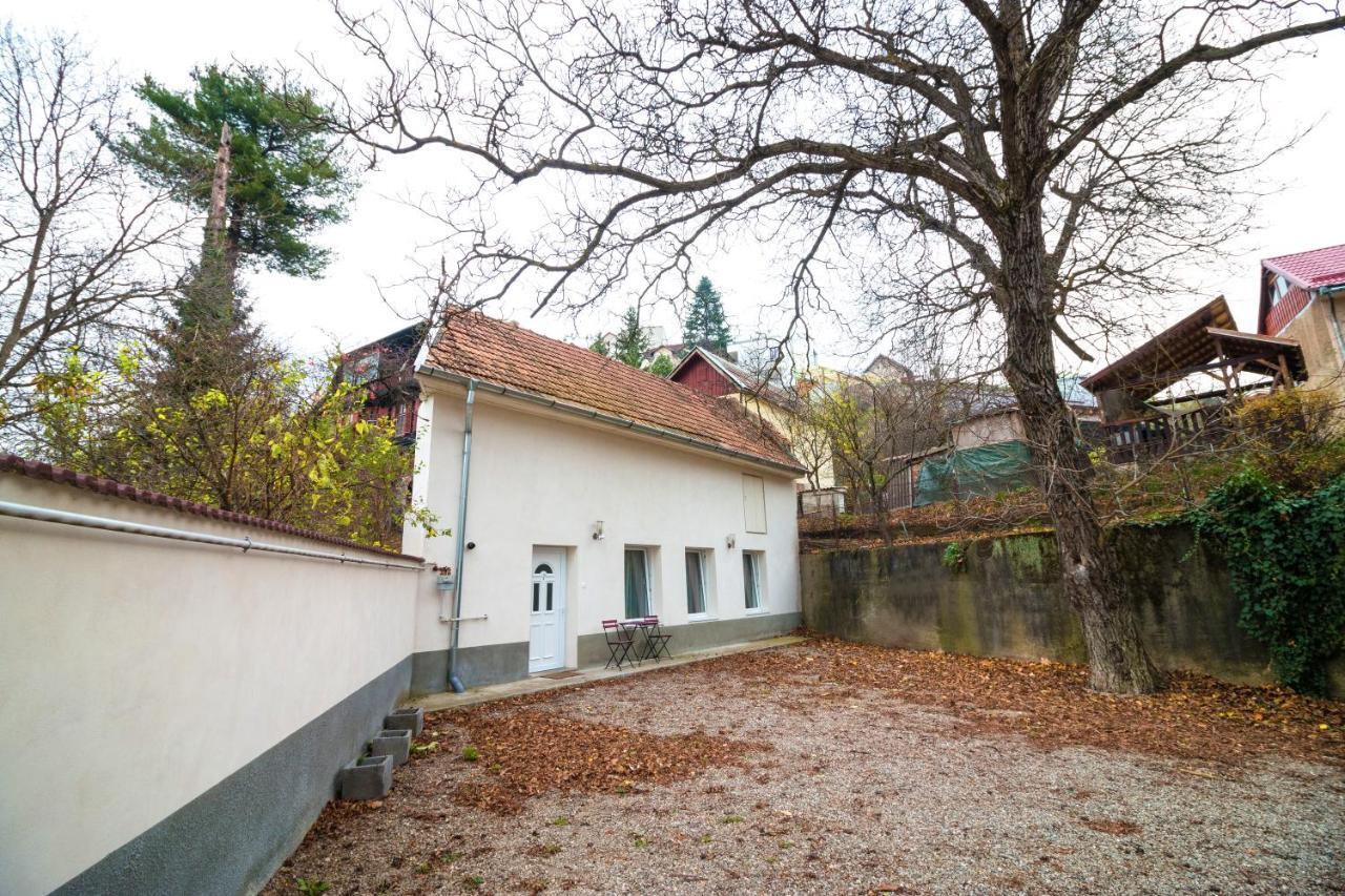 Crisan Residence - Vila Crisan Braşov Exterior foto